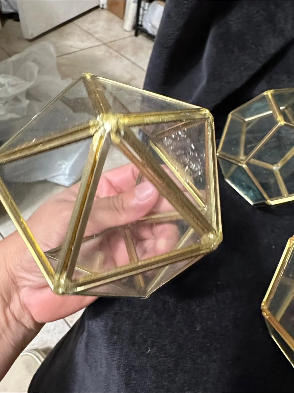 Geometric Glass Terrarium Set of 5